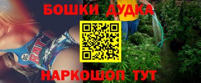 хмурый Гатчина