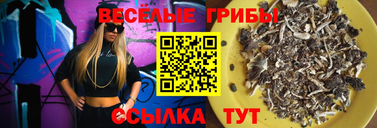 Галлюциногенные грибы Magic Shrooms  Псилоцибиновые грибы Psilocybine cubensis  Новый Уренгой  Вход с VPN 