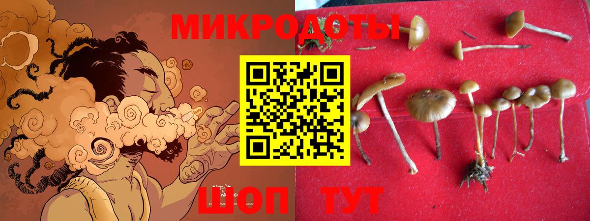 Псилоцибиновые грибы GOLDEN TEACHER Новый Уренгой